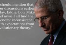 Dr. Fauci’s Negligent Behavior & Biden Admin’s Lack of Accountability Dr. Fauci’s Negligent Behavior & Biden Admin’s Lack of Accountability