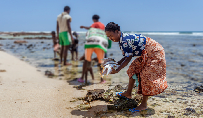 Women Fish Seller Preparing