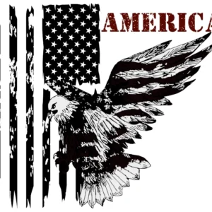 American Flag and Eagle T-Shirt