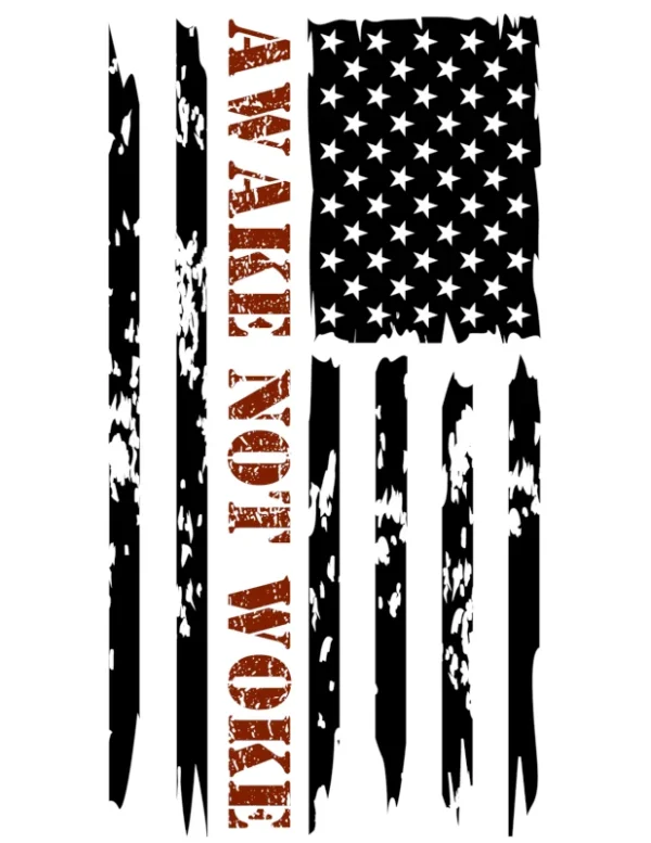 Awake Not Woke T-Shirt with American Flag Design
